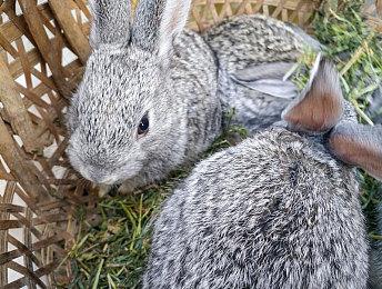 TGA官方删除推文暗示 《死亡搁浅2》或将亮相TGA 2023